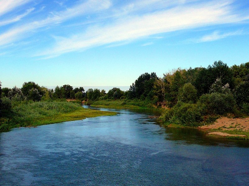 Река алей в Рубцовске