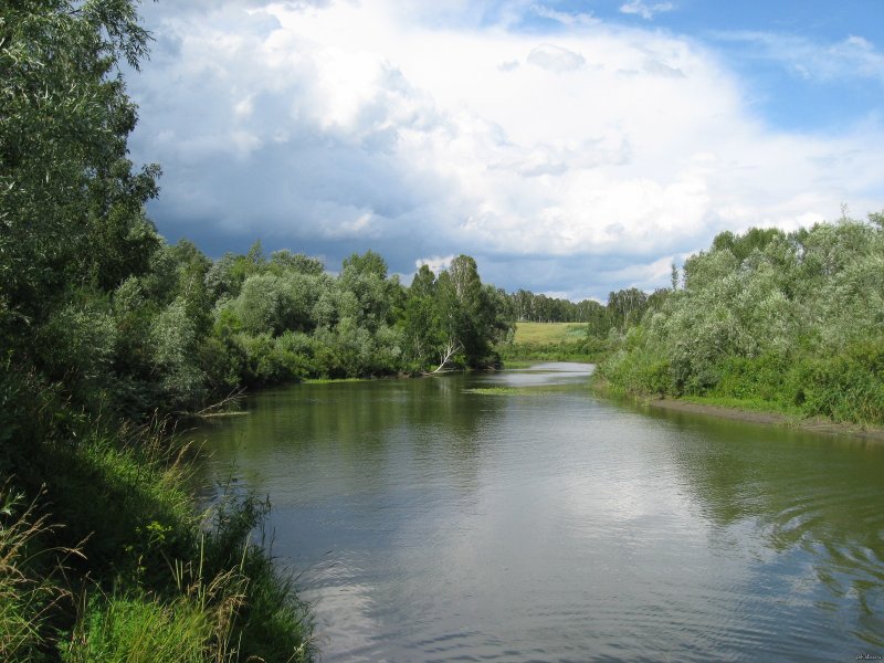 Река алей Алтайский