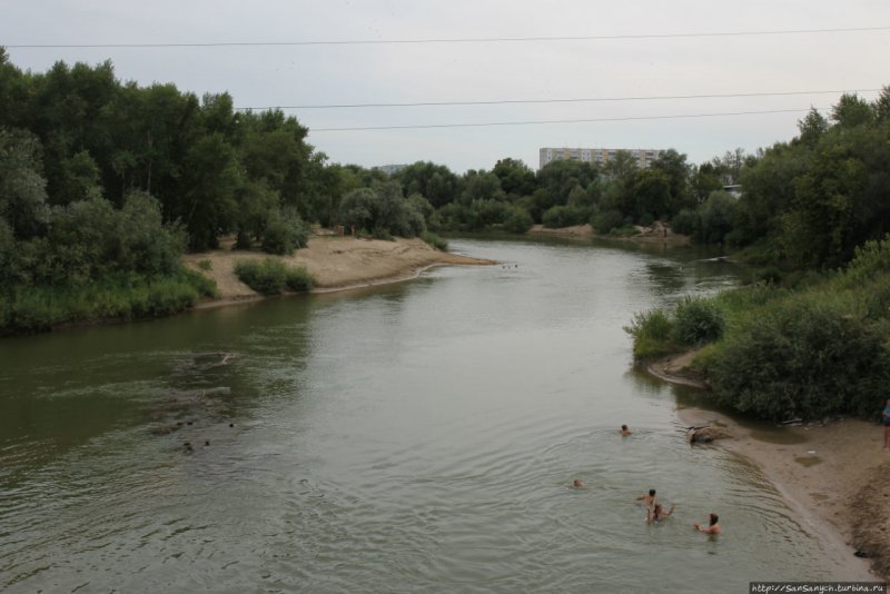 Река алей Алтайский край
