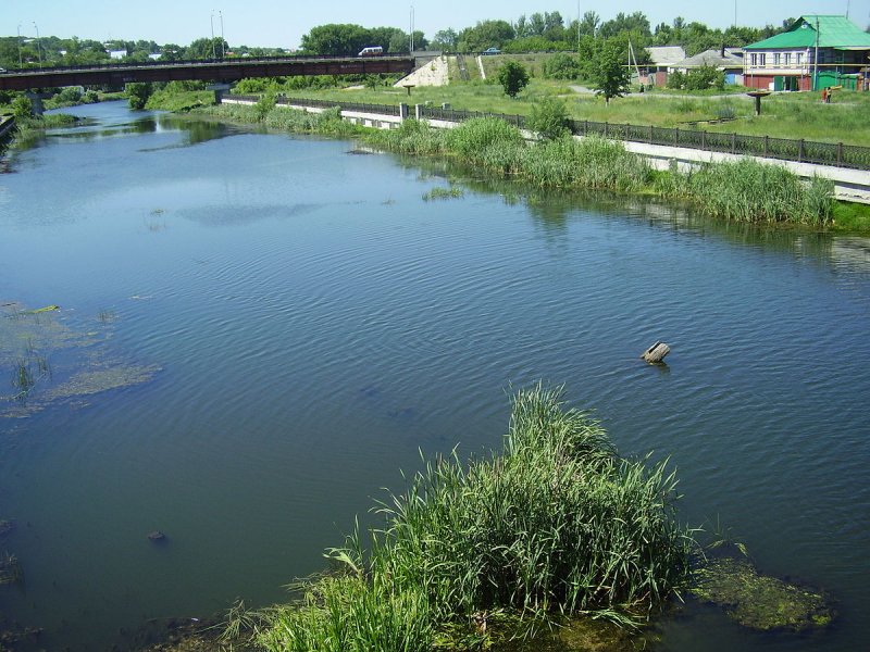 Река Оскол Белгородской области