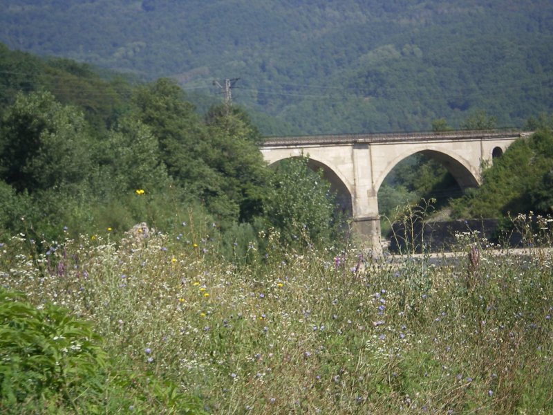 Мост через реку Пшиш Станционный