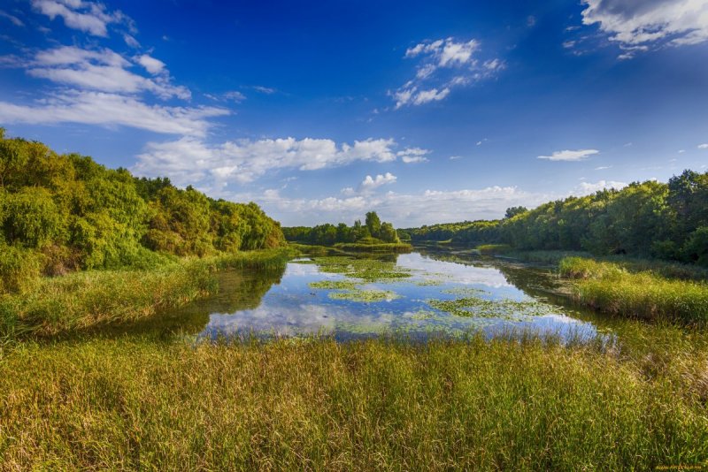 Олевск река
