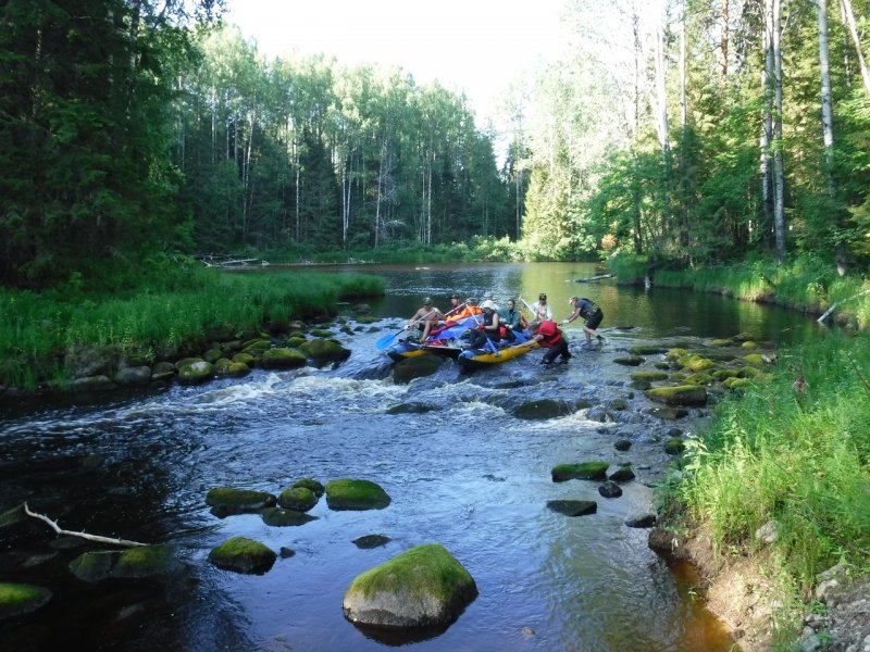 Река Андома Вологодская область