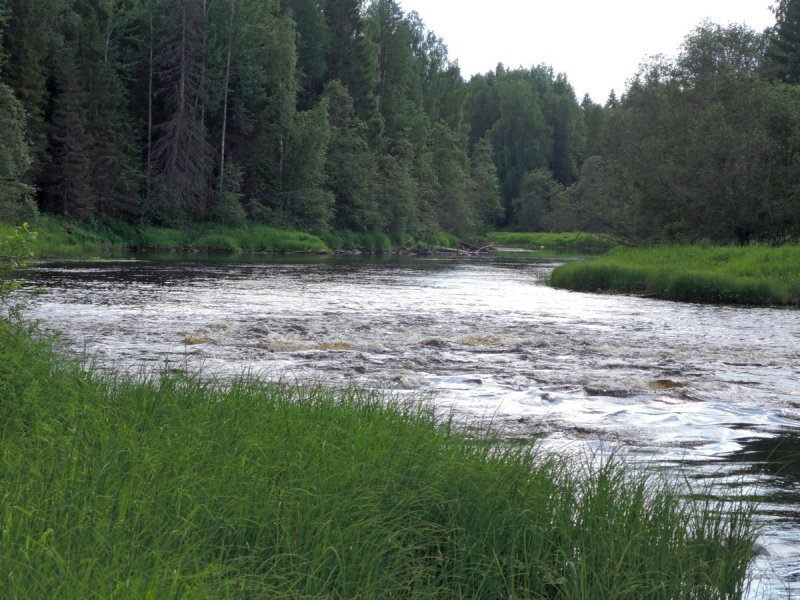 Река кема Вологодская область