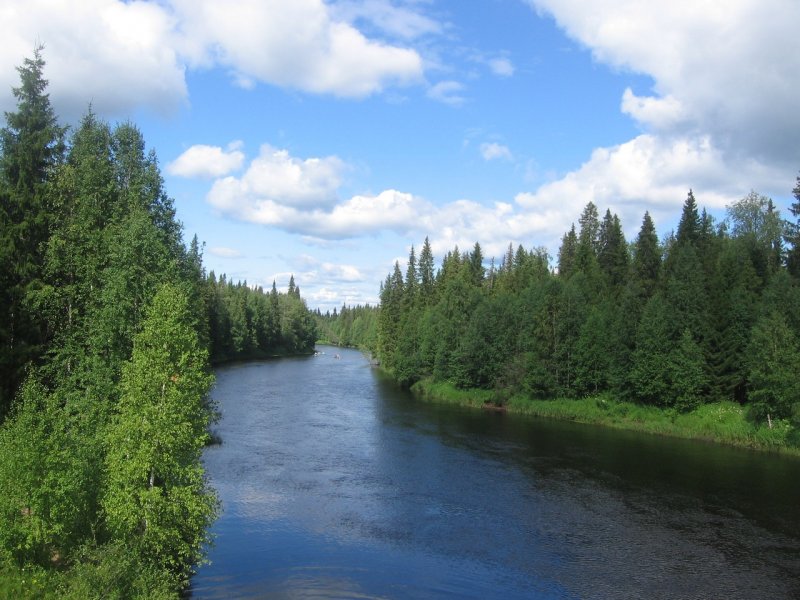 Река Емца Архангельская область