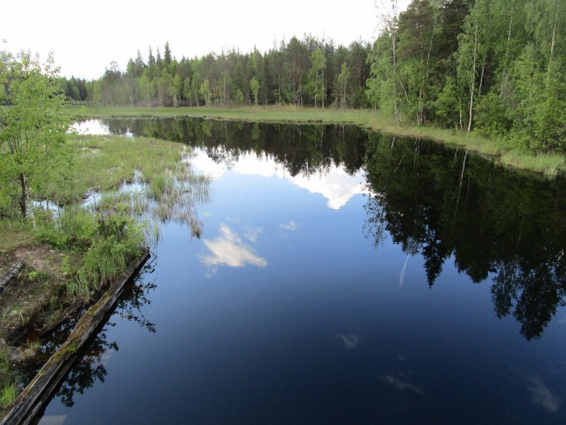 Реки Архангельской области