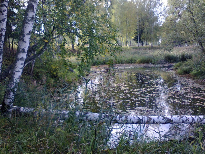 Река Гжать Гагарин Смоленская область