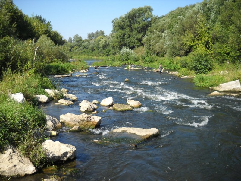 Река Сюрья Пермский край