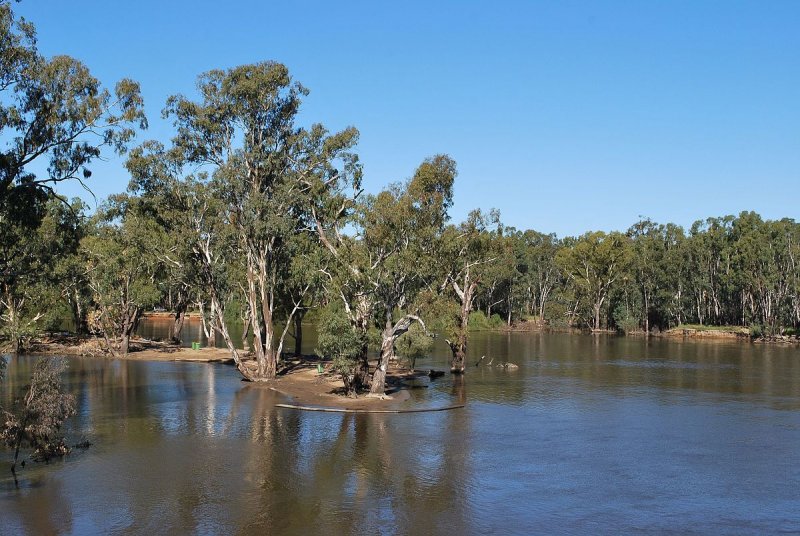 Внутренние воды Австралии река муррабже