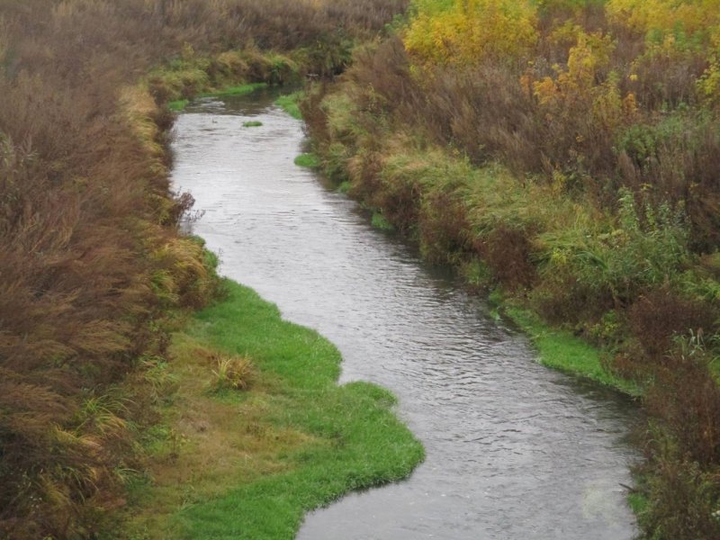 Река сухой Бирюч Ульяновская область