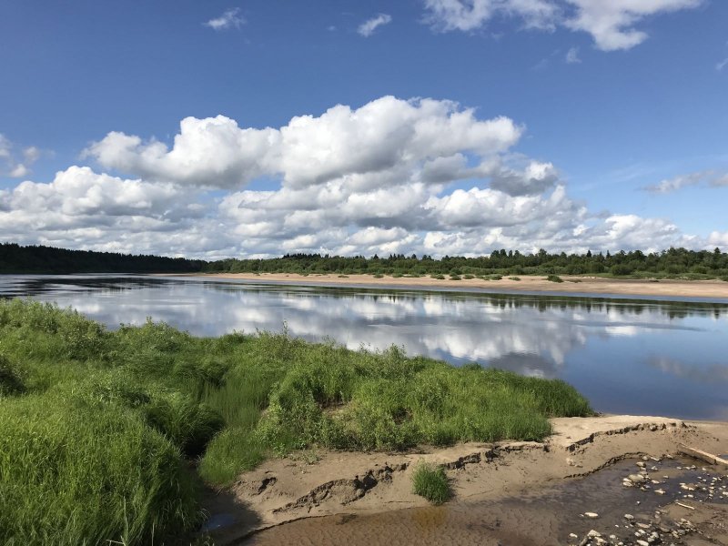 Река Вага Архангельской области
