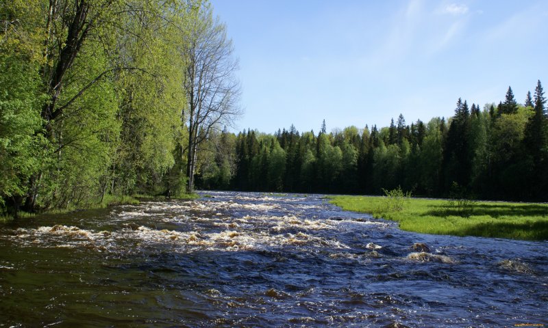 Река Богунай Зеленогорск