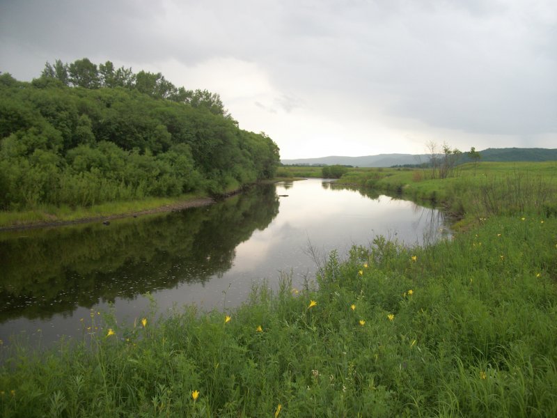 Река Борзянка Забайкальский