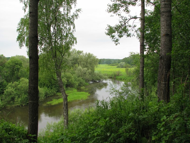 Река Воря Хотьково