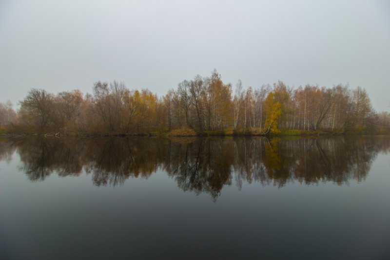 Река Усманка Воронежская