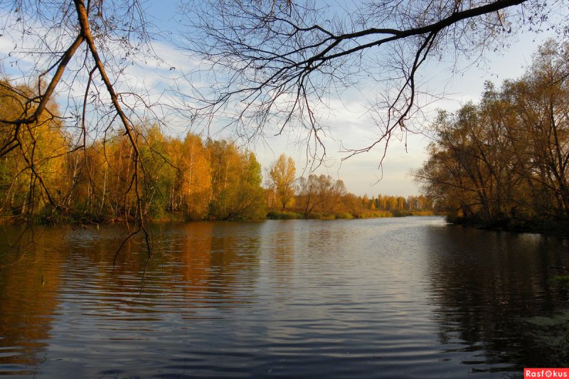Река Усмань в Липецкой области