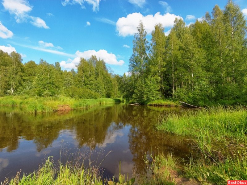 Река Вьюн финское название