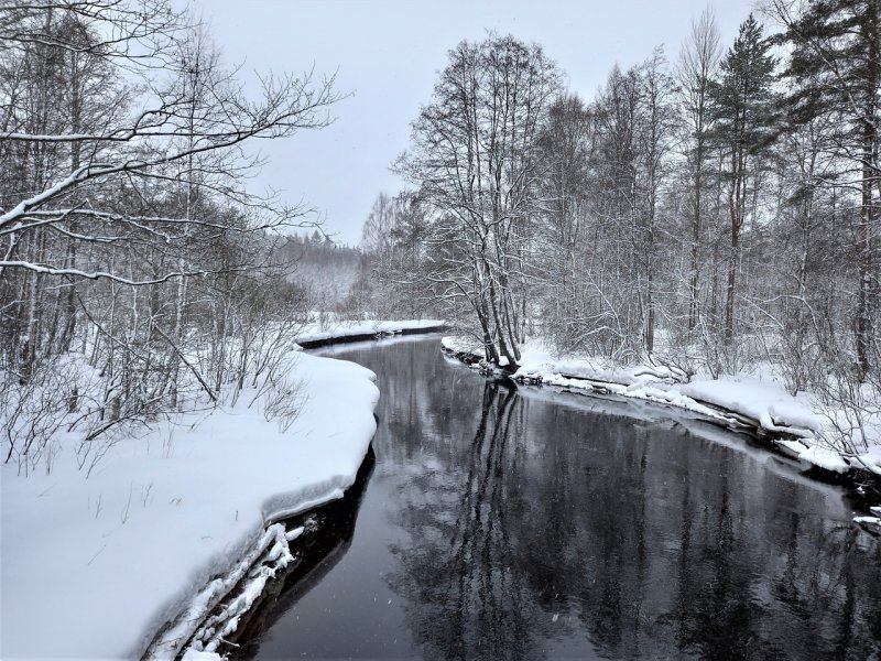 Вьюн ,финская плотина