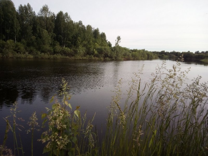 Река уста Нижегородская область