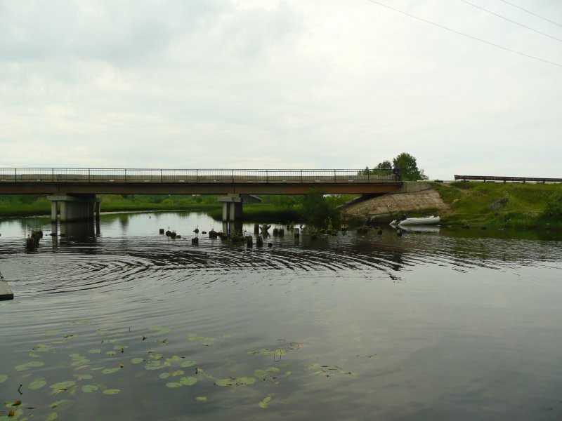 Река Ухтома Ярославской области