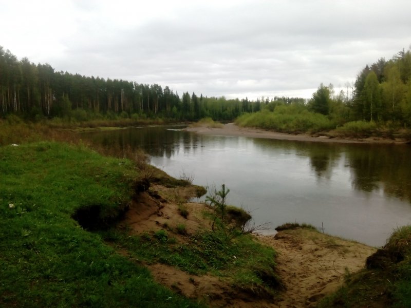 Река Луза Республика Коми