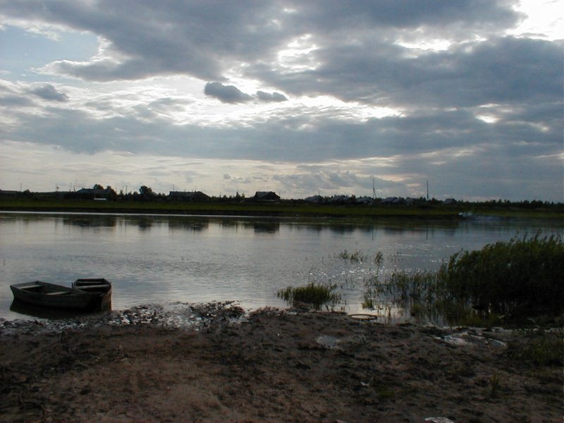 Река Луза Вологодская область