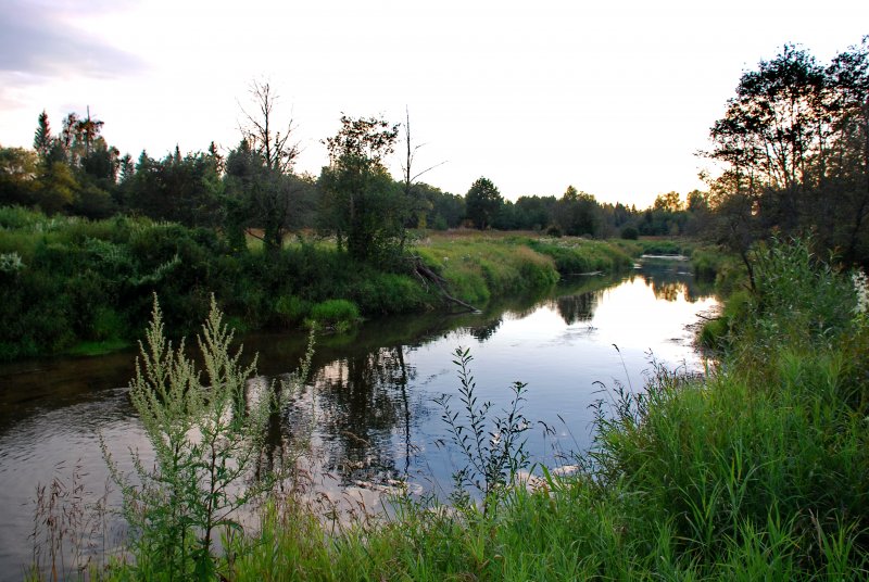 Река Ухтома Ивановской области