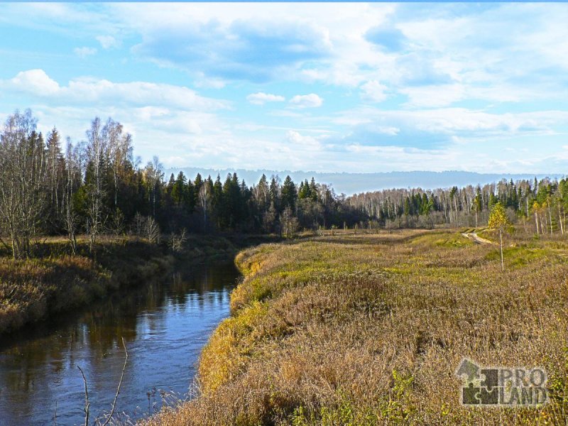 Фото реки Ухтохма Ивановской области