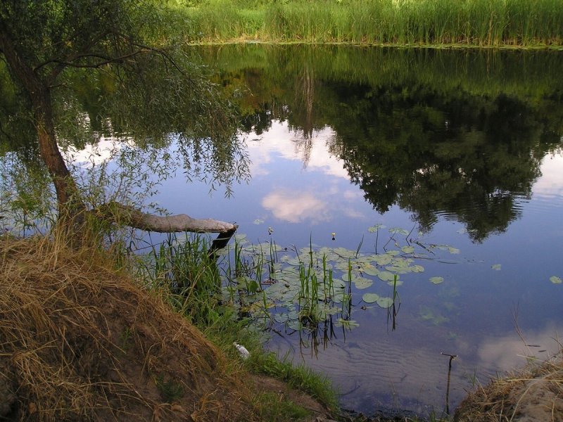Устье реки Дресвянка Рыбинск