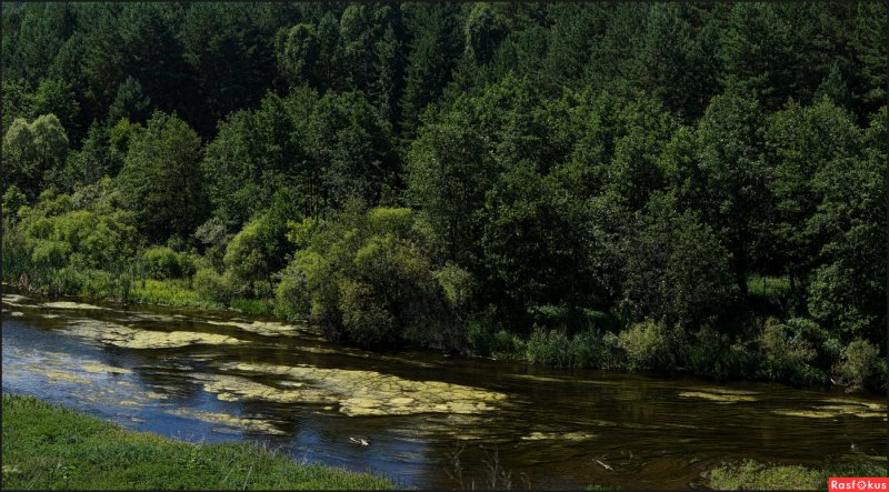 Река Караболка