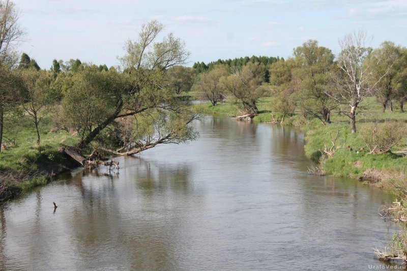 Река Теча Калужская область