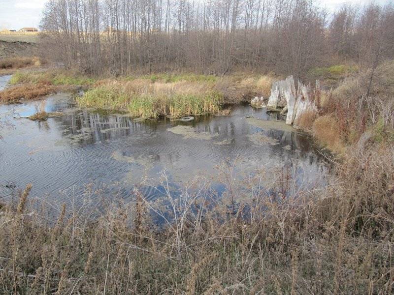 Река Теча Калужская область