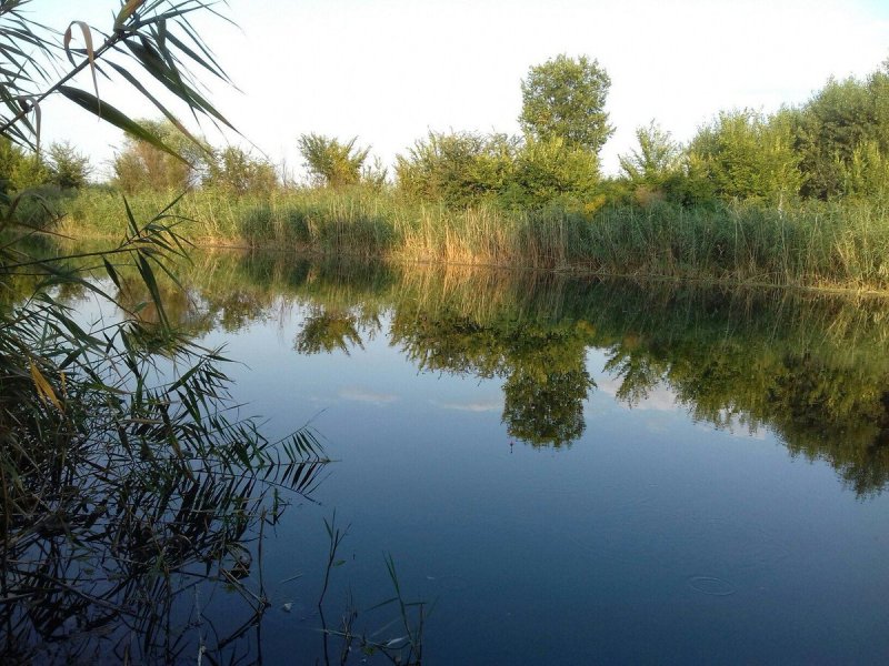 Река Аксай Ростовская область