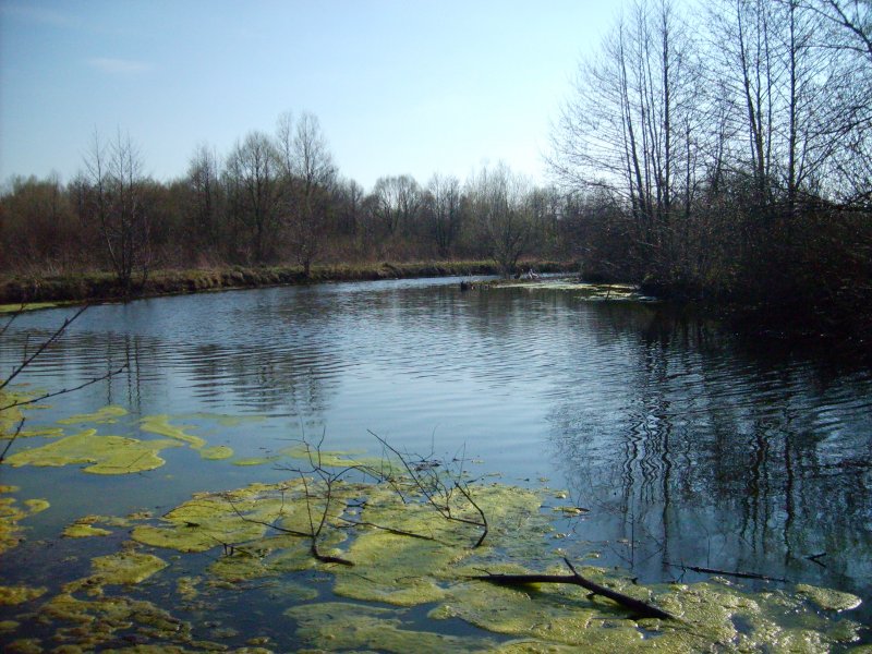 Река кура Новопавловск