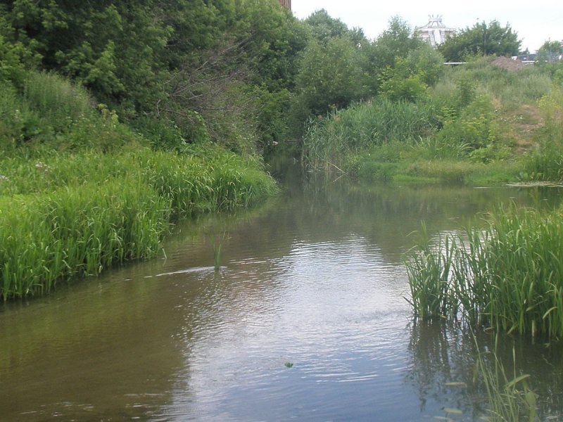 Река Курея Псковская область