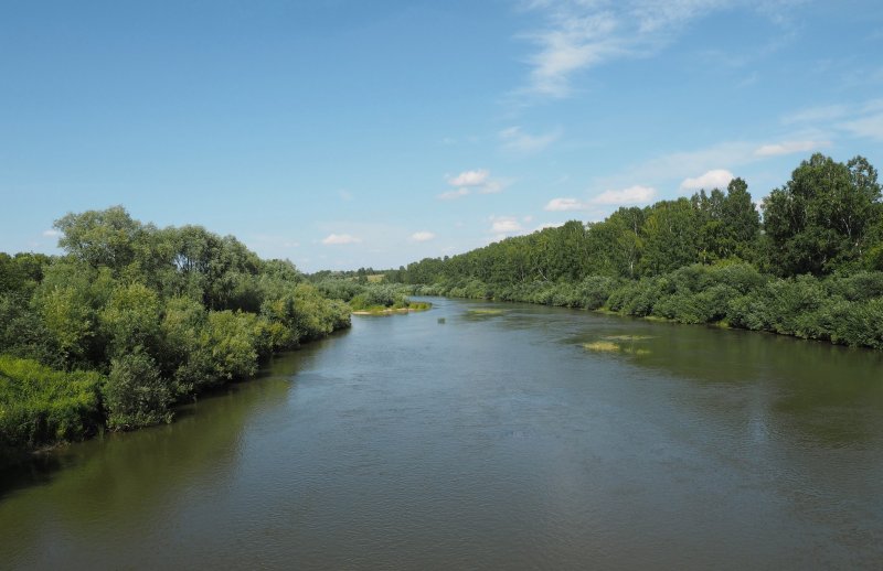 Река Вязовка Нижний Тагил