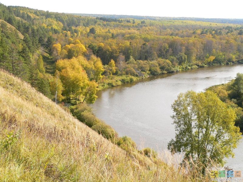 Природа Новосибирской области река Иня