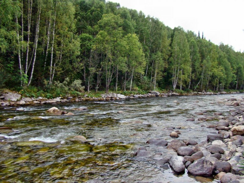 Река Иня Алтайский край