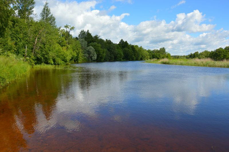 Река Хотча в Талдомском районе