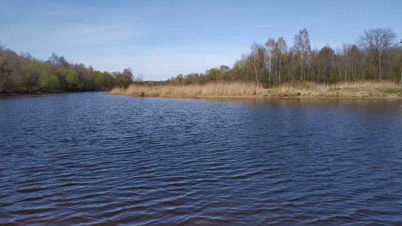 Глебовское озеро Талдомский район