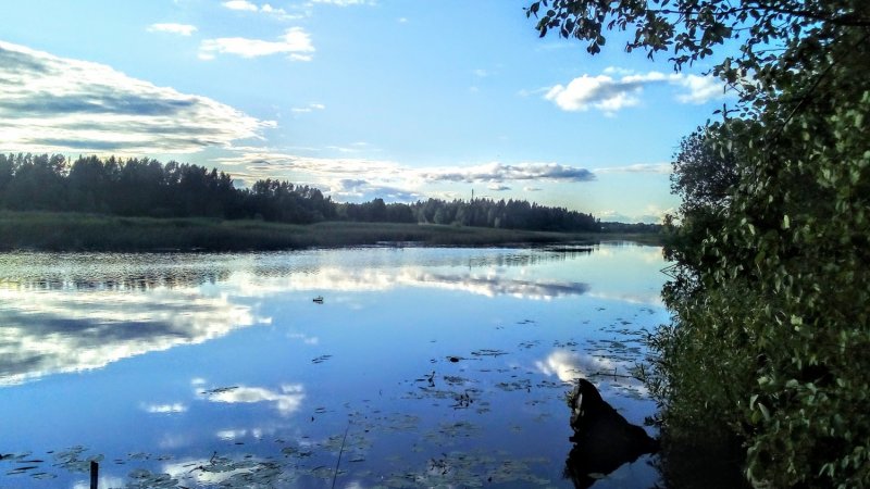 Река Хотча Тверская область