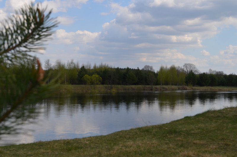 Река Вилия у Островца в Белоруссии