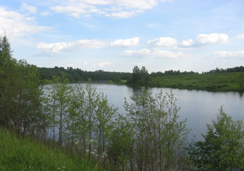 Река Вожа Рязанская область