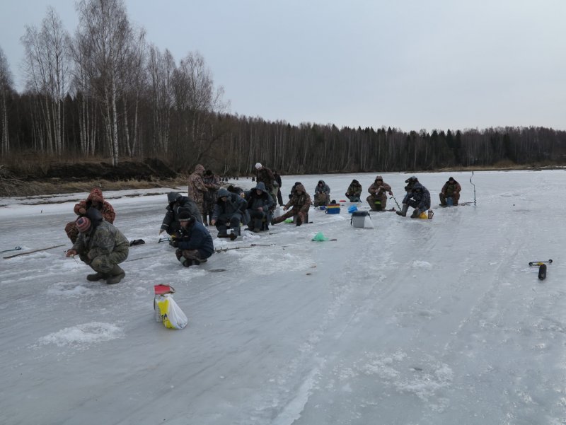 Рыбалка на реке сить Ярославская область