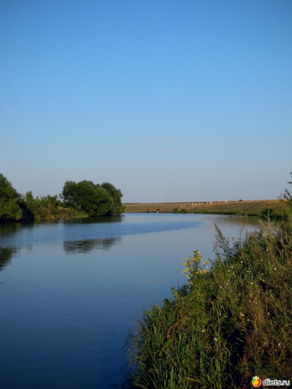 Река Череха Псков