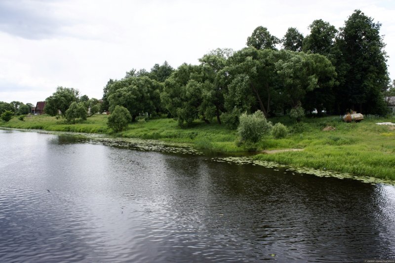 Река Теза Савинского района Ивановской области