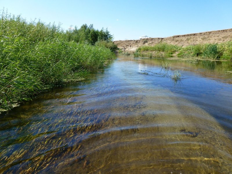 Река Королисцхали