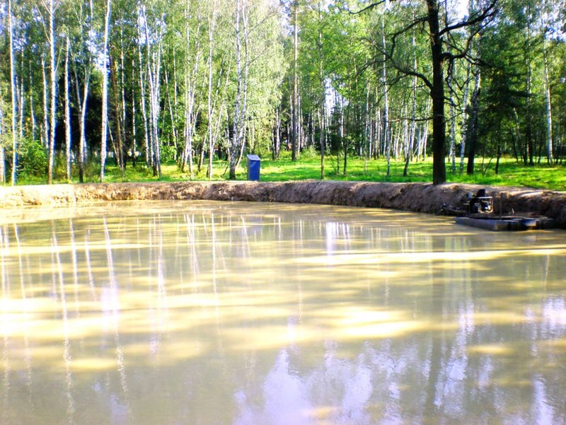 Люблинский пруд