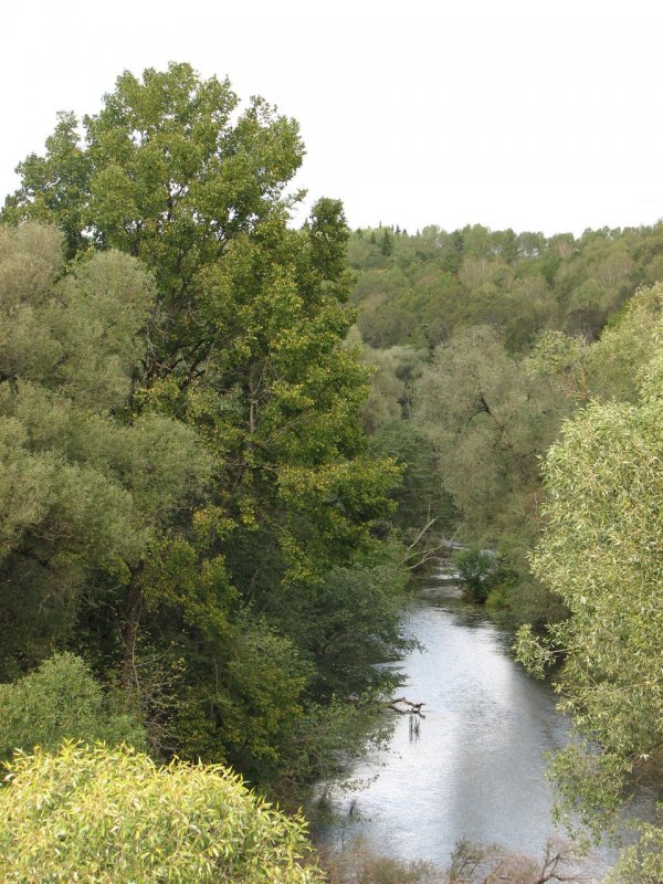 Река Шаня Калужская