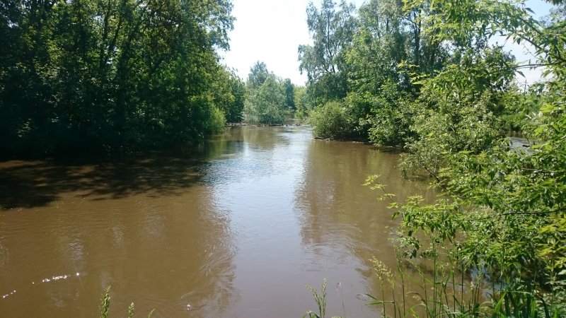 Река Рыбная Громадск